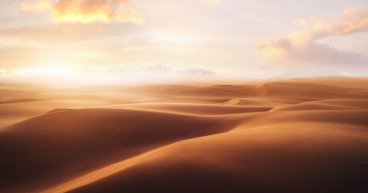 Ali Farahani and Zigan Aldi in San Francisco at The Midway