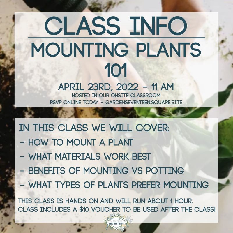 Plant Class Mounting Plants 101 in Austin at Garden Seventeen