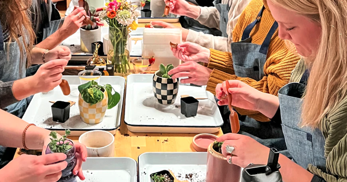 Paddywax Plant Potting in Nashville at Paddywax Candle