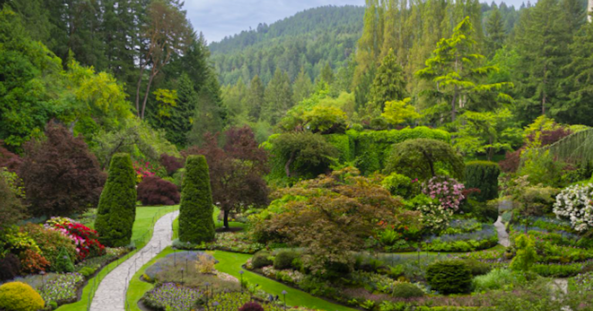 Butchart Gardens Concert Series 2022 in Victoria at The Concert