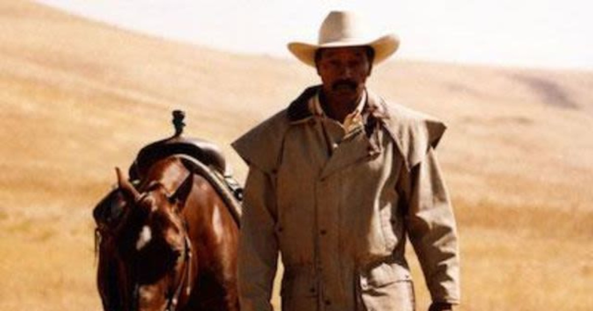 Cutting Horse in Los Angeles at Hammer Museum