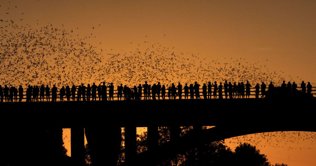 BAT FEST ft. Toadies, Chamillionaire, The Unlikely Candidates,