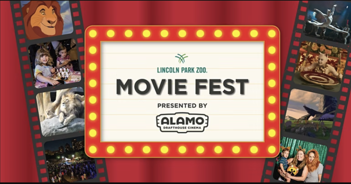 Movie Fest In Chicago At Lincoln Park Zoo movie-fest-in-chicago-at-lincoln-park-zoo