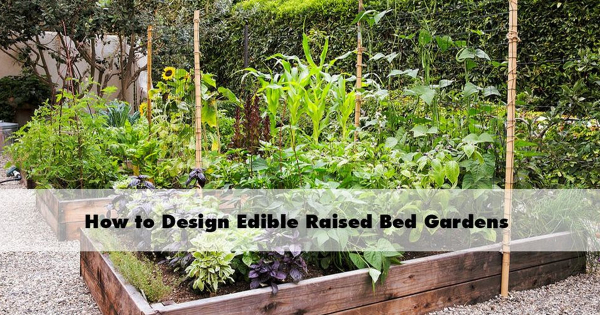 How to Design Edible Raised Bed Gardens in Louisville at Rainbow