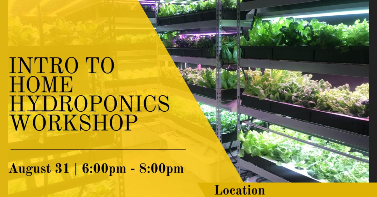Intro to Home Hydroponics in Indianapolis, at The AMP