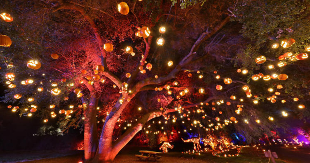 Nights of the Jack in Calabasas, CA 91302 at King Gillette Ranch