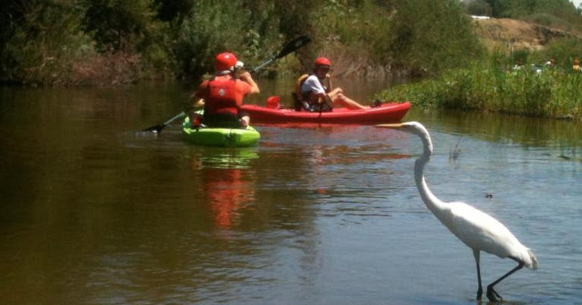 Los Angeles River Kayak Tours Sepulveda Basin in Los Angeles at