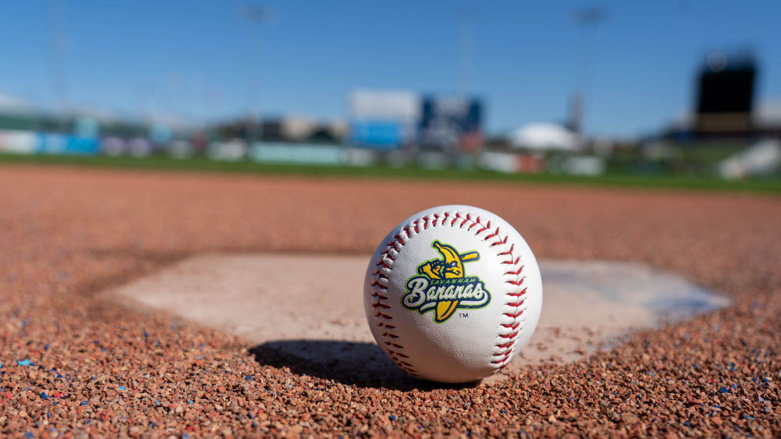 Savannah Bananas vs Monarchs MinorLeague