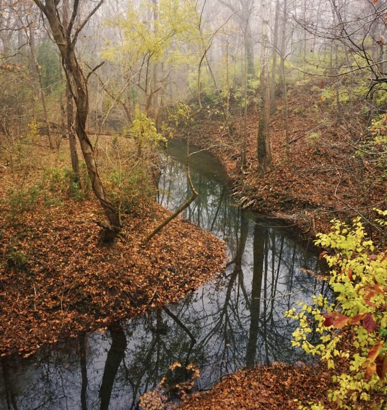 Best Places Near Nashville To Enjoy Fall Foliage