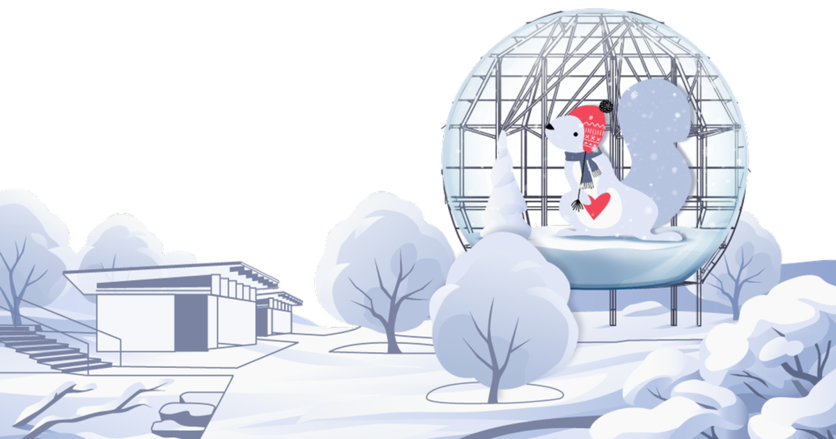 Southern Lights in Austin at Pease Park