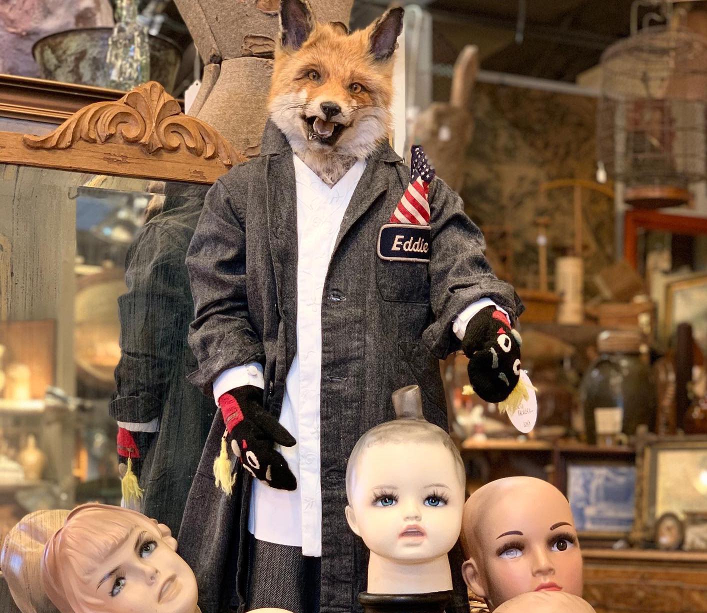 Best Curio Shops in Austin