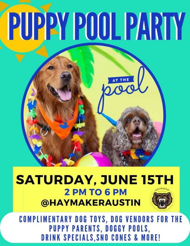 4th Annual Puppy Pool Party in Austin at Haymaker