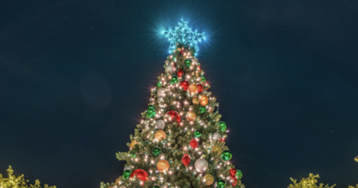 Holiday Tree Light Show in Austin at Domain NORTHSIDE