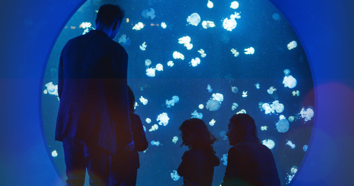 Holiday Splash in Vancouver at Vancouver Aquarium