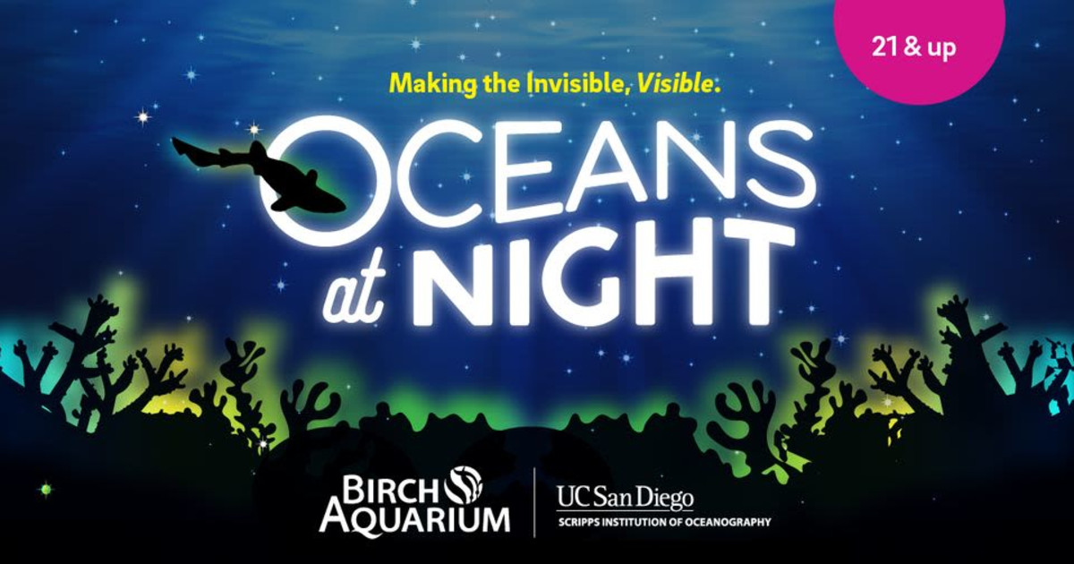 Oceans at Night in La Jolla at Birch Aquarium