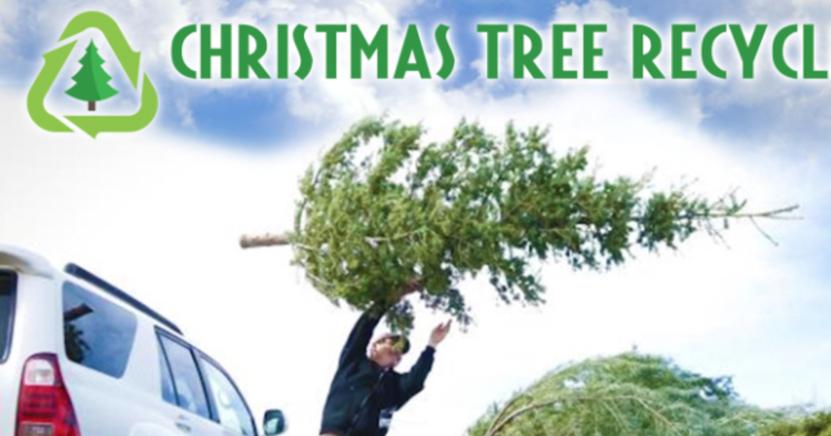 Christmas Tree Recycling in Round Rock at City of Round Rock