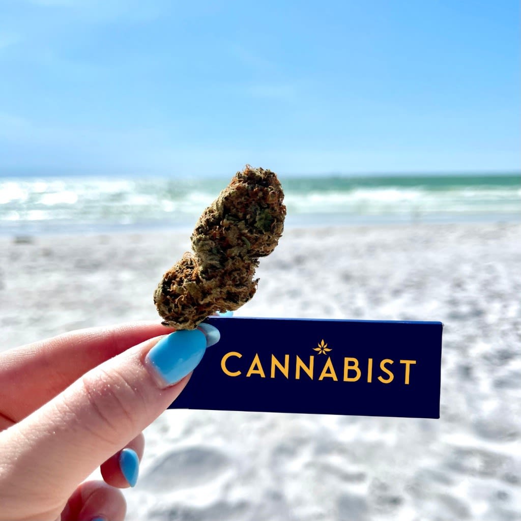 San Diego's Best Dispensaries