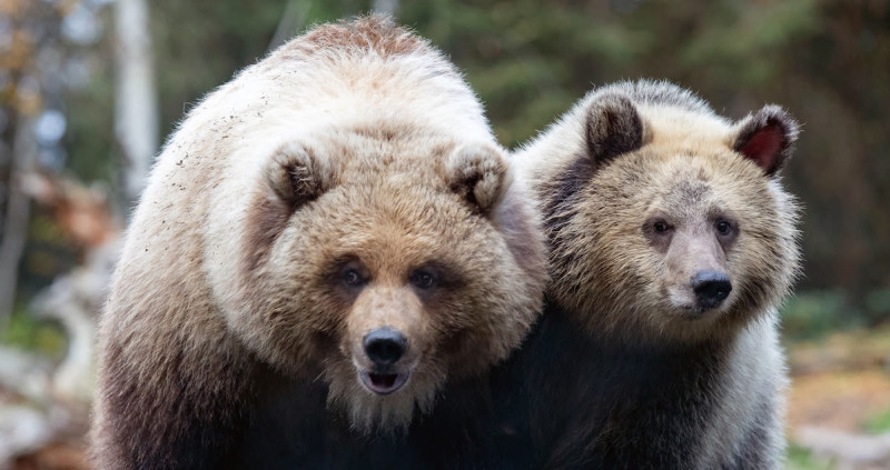 Woodland, California visual data 4