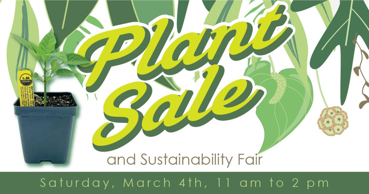 Plant Sale and Sustainability Fair in Austin at Wheatsville