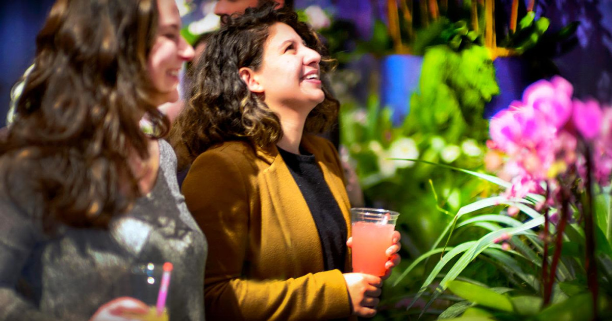 Orchids After Hours in Glencoe at Chicago Botanic Garden