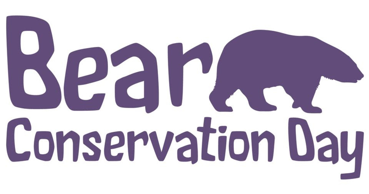 Bear Conservation Day in St. Louis at St. Louis Zoo