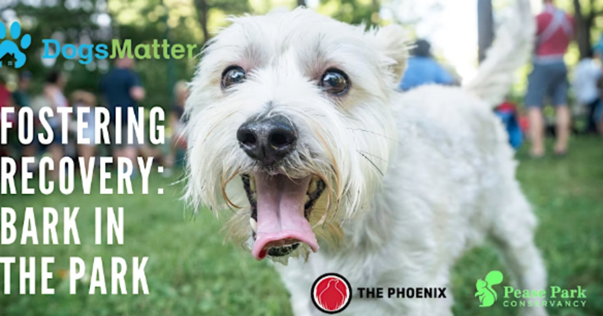 Fostering Recovery Bark in The Park in Austin at Pease Park