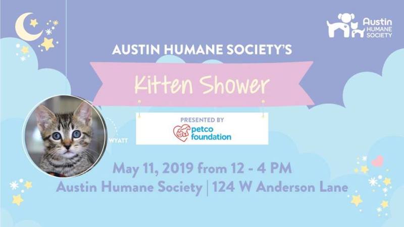 5th Annual Kitten Shower In Austin At Austin Humane Society