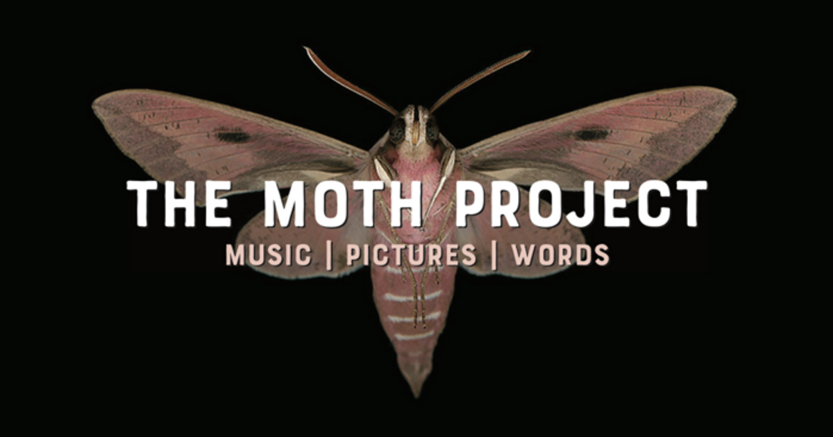 The Moth Project in Denver at Meow Wolf
