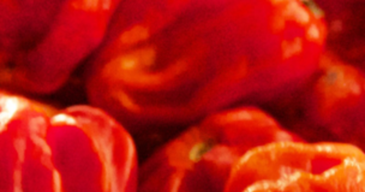 Boston Hot Sauce Festival in Boston at Charles River Speedway