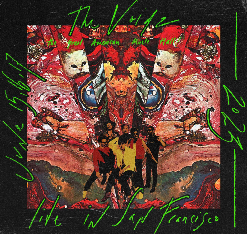 The Voidz in San Francisco at Great American Music Hall