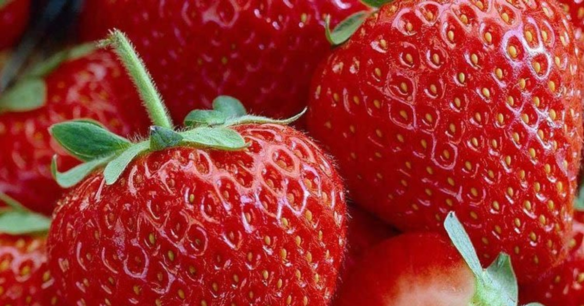 Vista Strawberry Festival in San Diego at Historic Vista Village