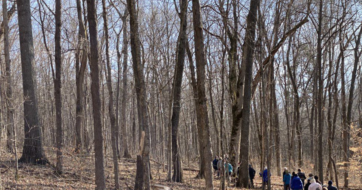 Parklands Walking Club in Louisville at Beckley Creek Park