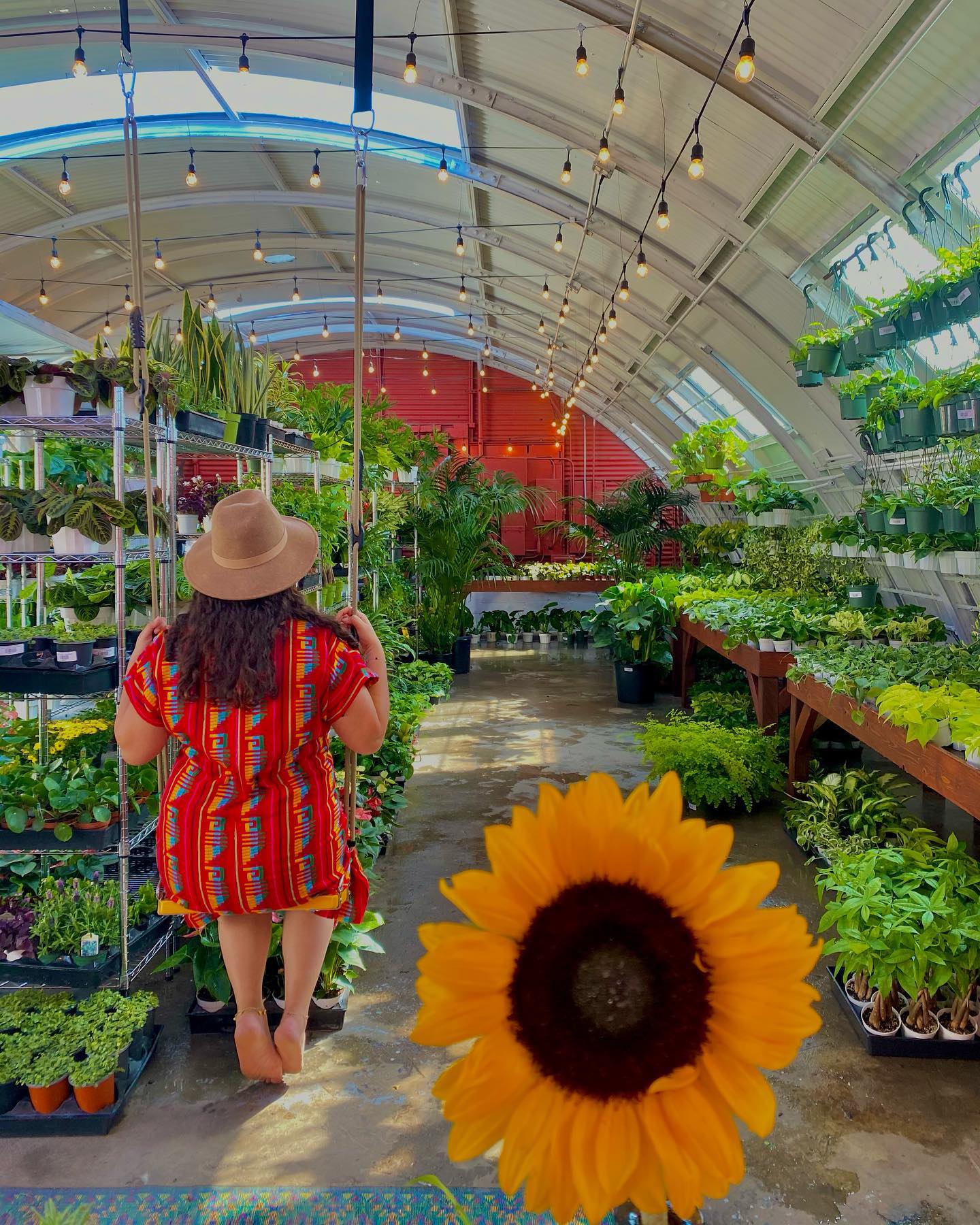 Best Plant Shops in LA