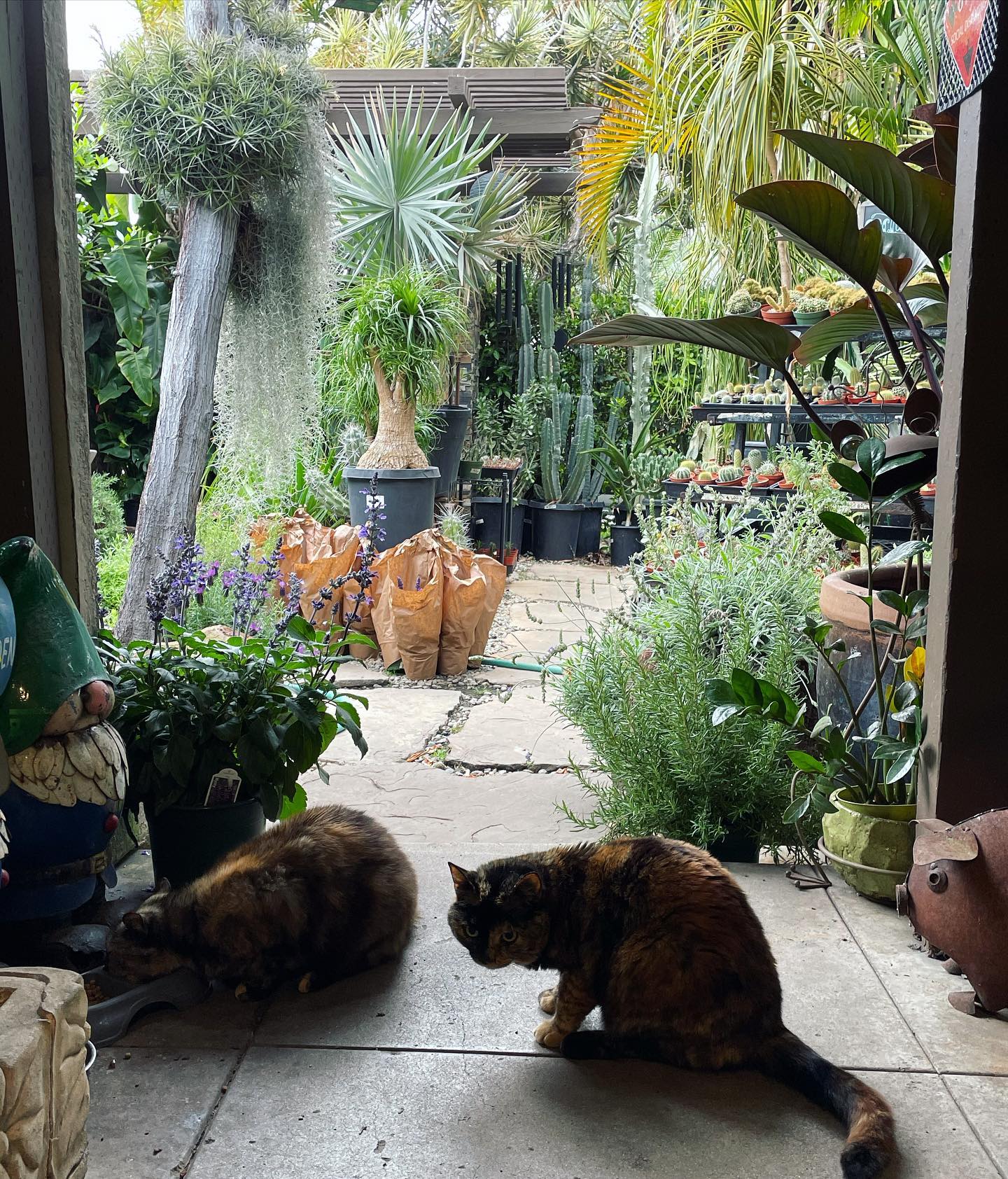 Best Plant Shops in LA