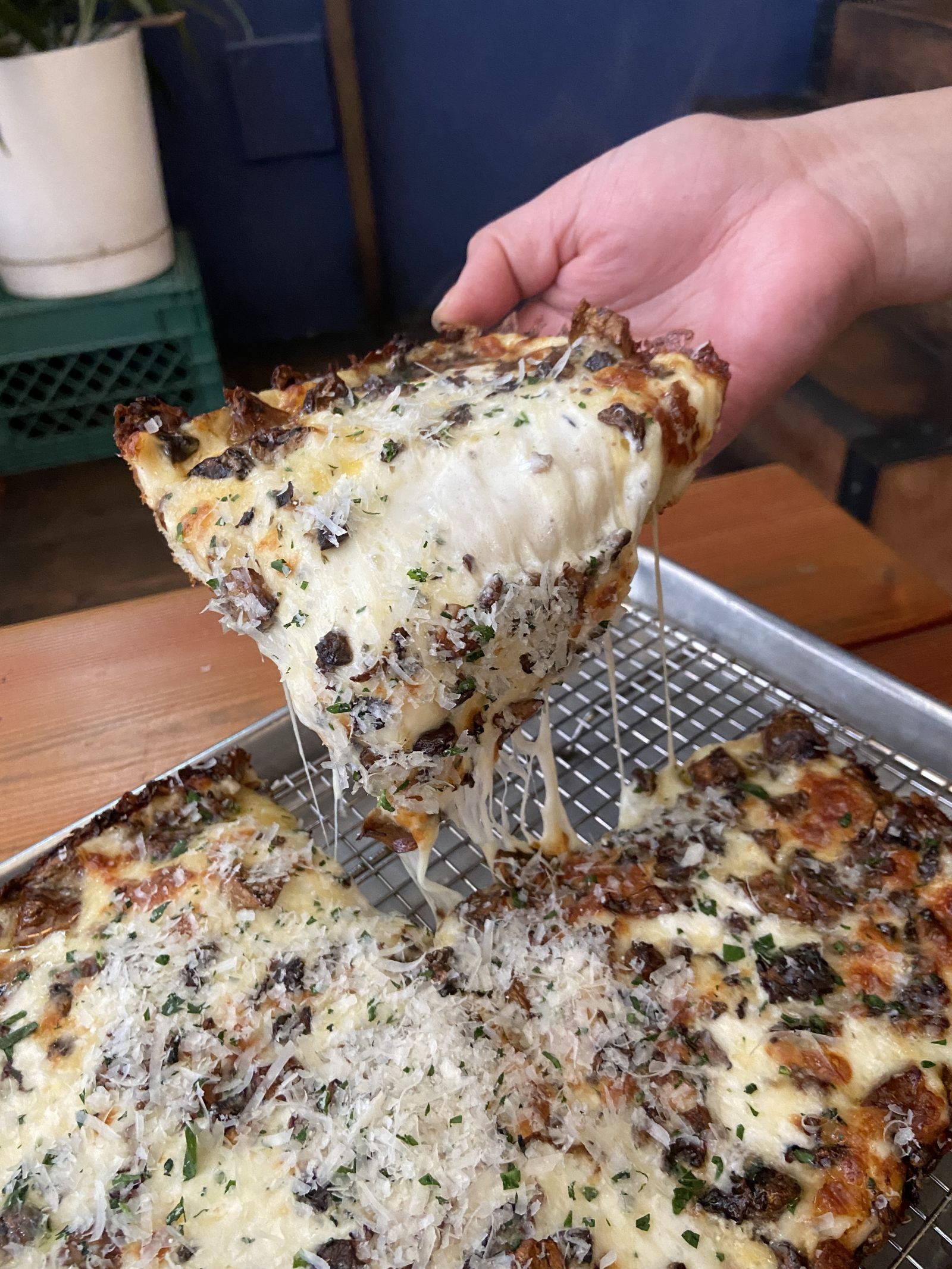 Square Pie Guys Detroit Style Pizza Day 100 Giveaway in San