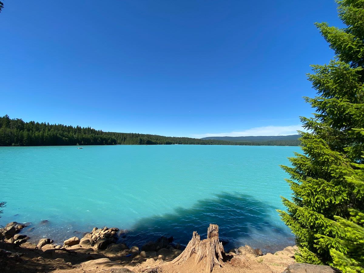 Rivers to Swim Near Me Discover Hidden Gems in the US