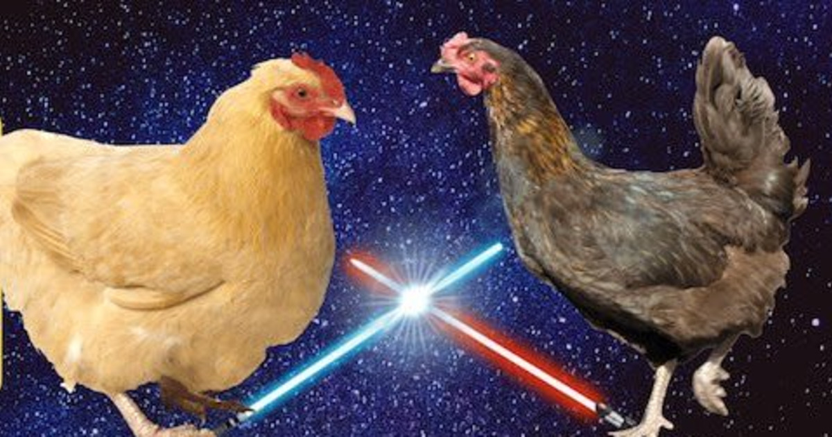 Chicken Poo Bingo For Texas Advocates in Austin at Buzz Mill