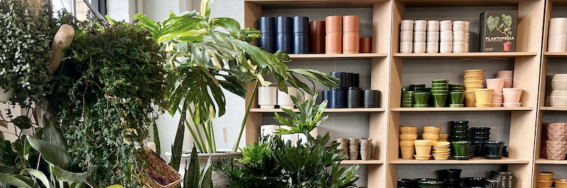 Indianapolis Plant Stores