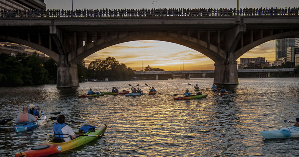Bat Fest A Limited Edition Guided Bat Tour in Austin at Rowing