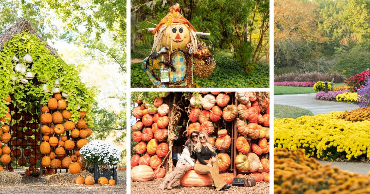 Cheekwood Harvest in Nashville at Cheekwood Estate & Gardens