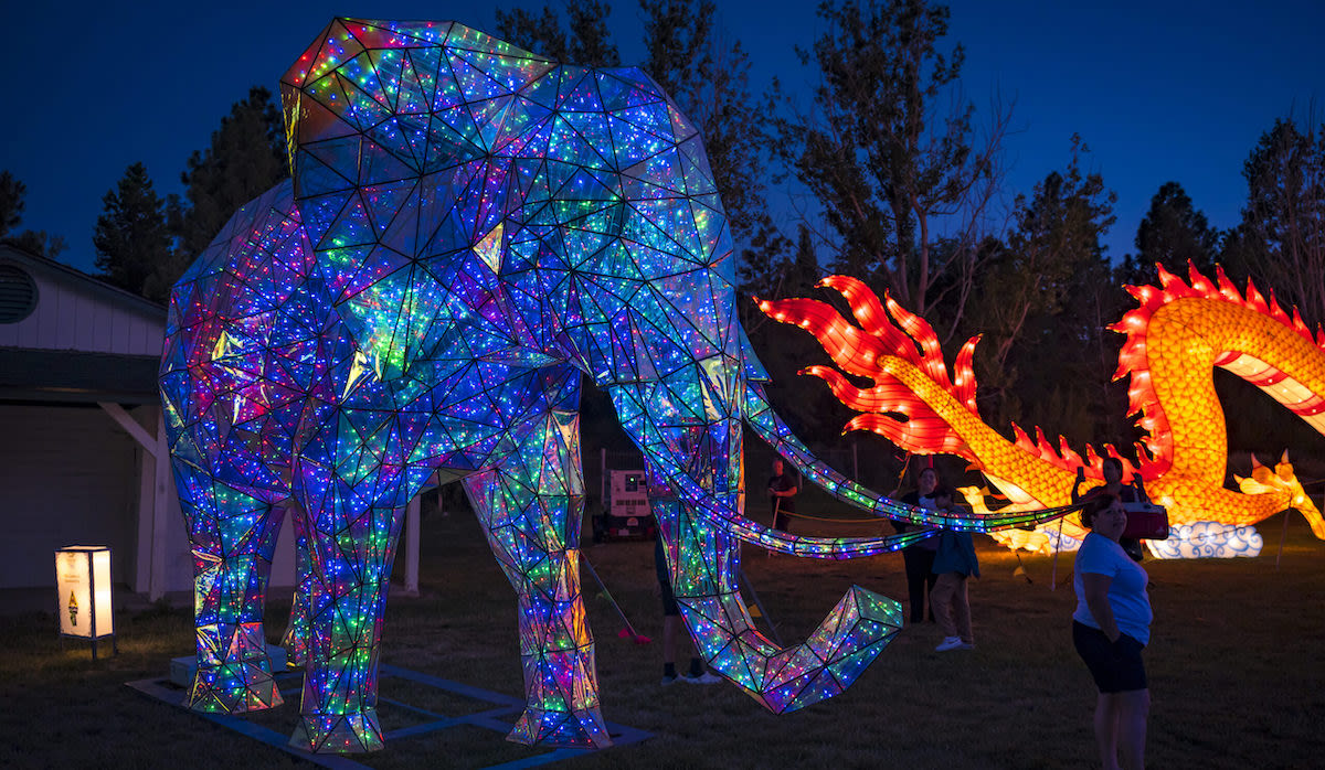 Where To Go Pumpkin & Apple Picking Near Denver