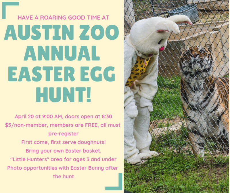 Austin Zoo Easter Egg Hunt in Austin at Austin Zoo & Animal