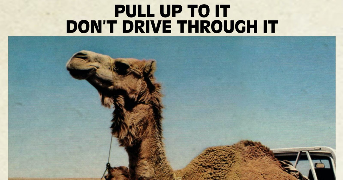 The Carry Nation with Heartthrob, Will Automagic & Nita Aviance,