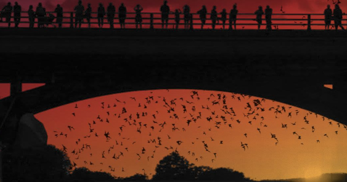 The Bat Boat in Austin at Austin Tour Company