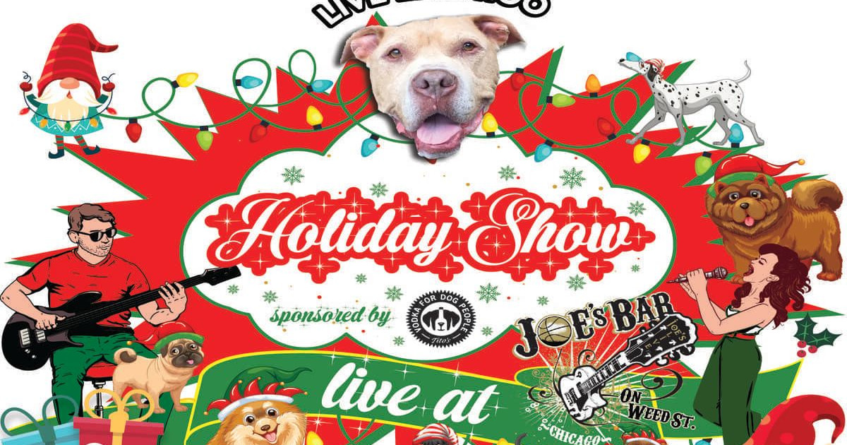 Live Like Roo Live Like Roo Holiday Show & Fundraiser in Chicago at Joe's Bar On