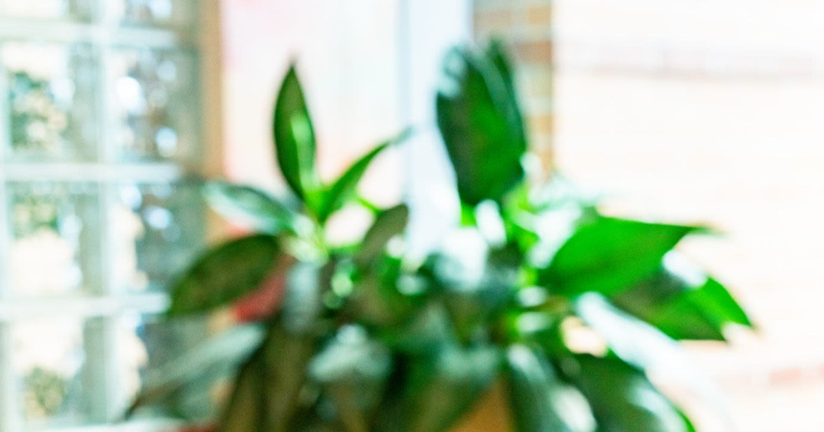 New Year's Eve Celebration at Diner Bar! in Austin at Diner Bar