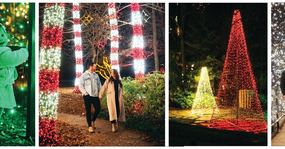 Holiday LIGHTS in Nashville at Cheekwood Botanical Gardens