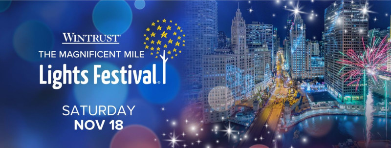 Chicago Blues Festival - A Spectacular Musical Celebration in 2025