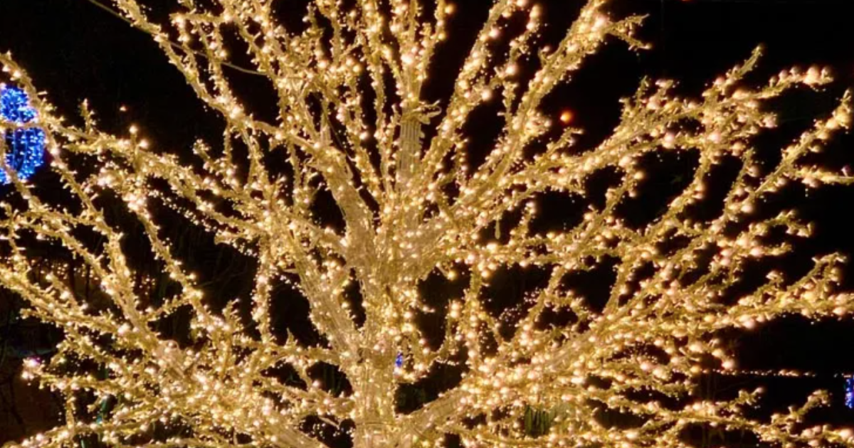 Granville Island Festive Christmas and Holiday Lights in