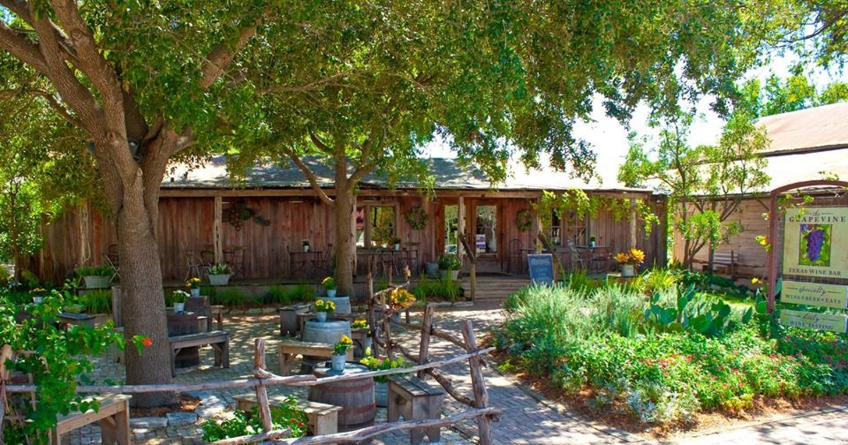 Sunday Funday Free Live Music In New Braunfels At The Grapevine